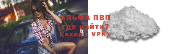 шишки Тутаев